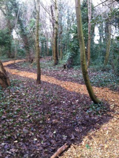 Spinney path 5