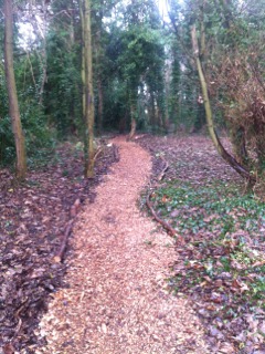 Spinney path 6