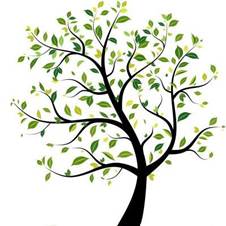Conservation Group logo